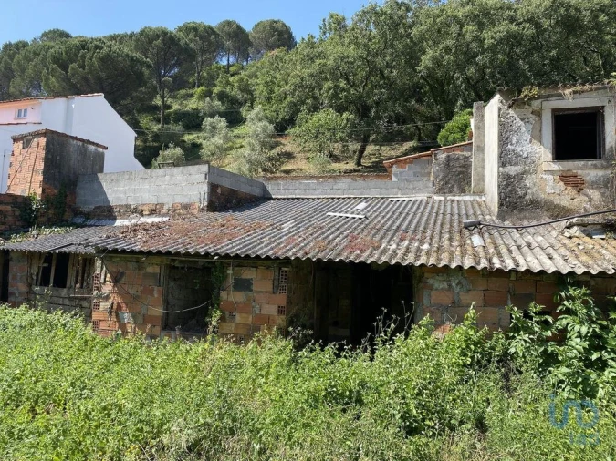 Moradia T3 para Venda em Arrimal e Mendiga Foto 5