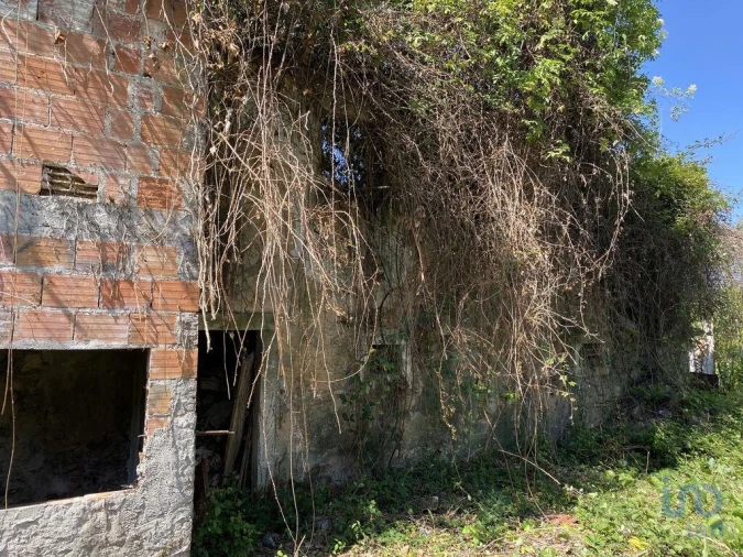 Moradia T3 para Venda em Arrimal e Mendiga Foto 9