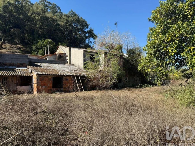 Moradia T3 para Venda em Arrimal e Mendiga Foto 22