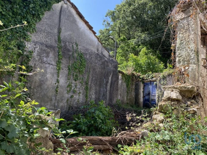 Moradia T3 para Venda em Arrimal e Mendiga Foto 6