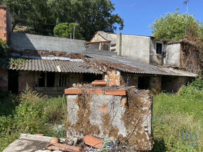 Moradia T3 para Venda em Arrimal e Mendiga Foto 12