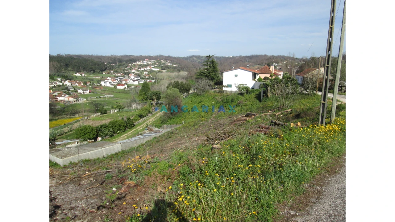 Terreno para Venda em Colmeias e Memória Foto 1