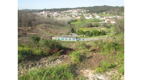 Terreno para Venda em Colmeias e Memória