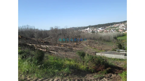Terreno para Venda em Colmeias e Memória