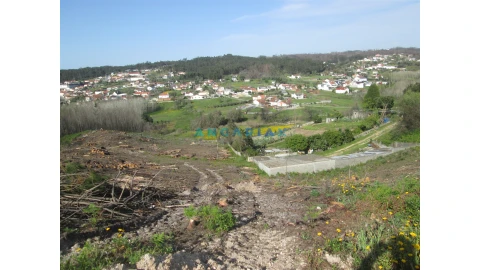 Terreno para Venda em Colmeias e Memória