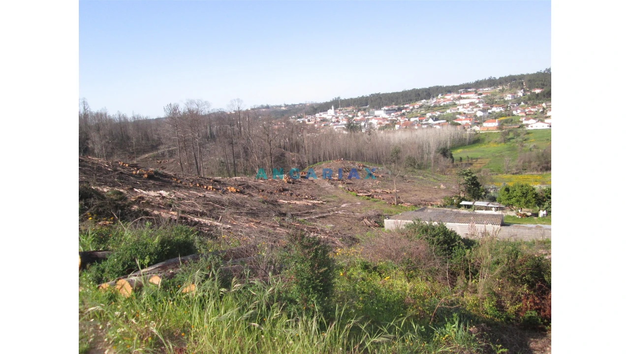 Terreno para Venda em Colmeias e Memória Foto 6