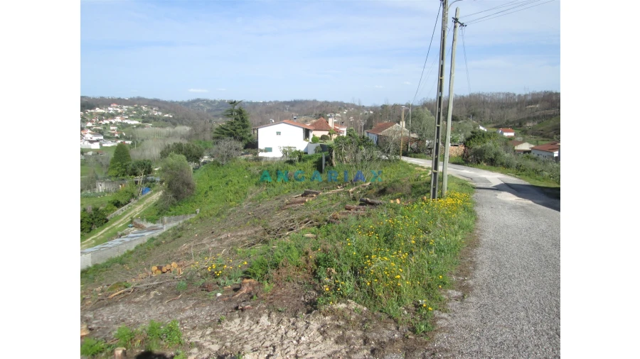 Terreno para Venda em Colmeias e Memória Foto 4