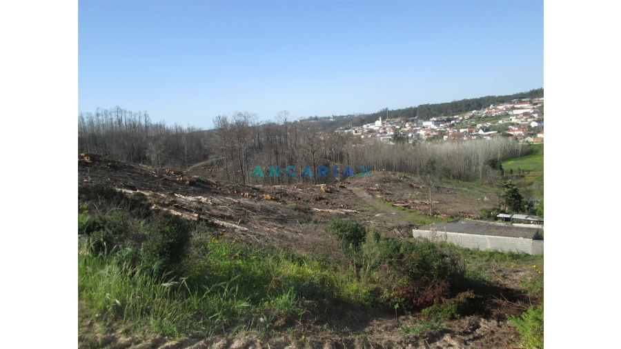 Terreno para Venda em Colmeias e Memória Foto 7