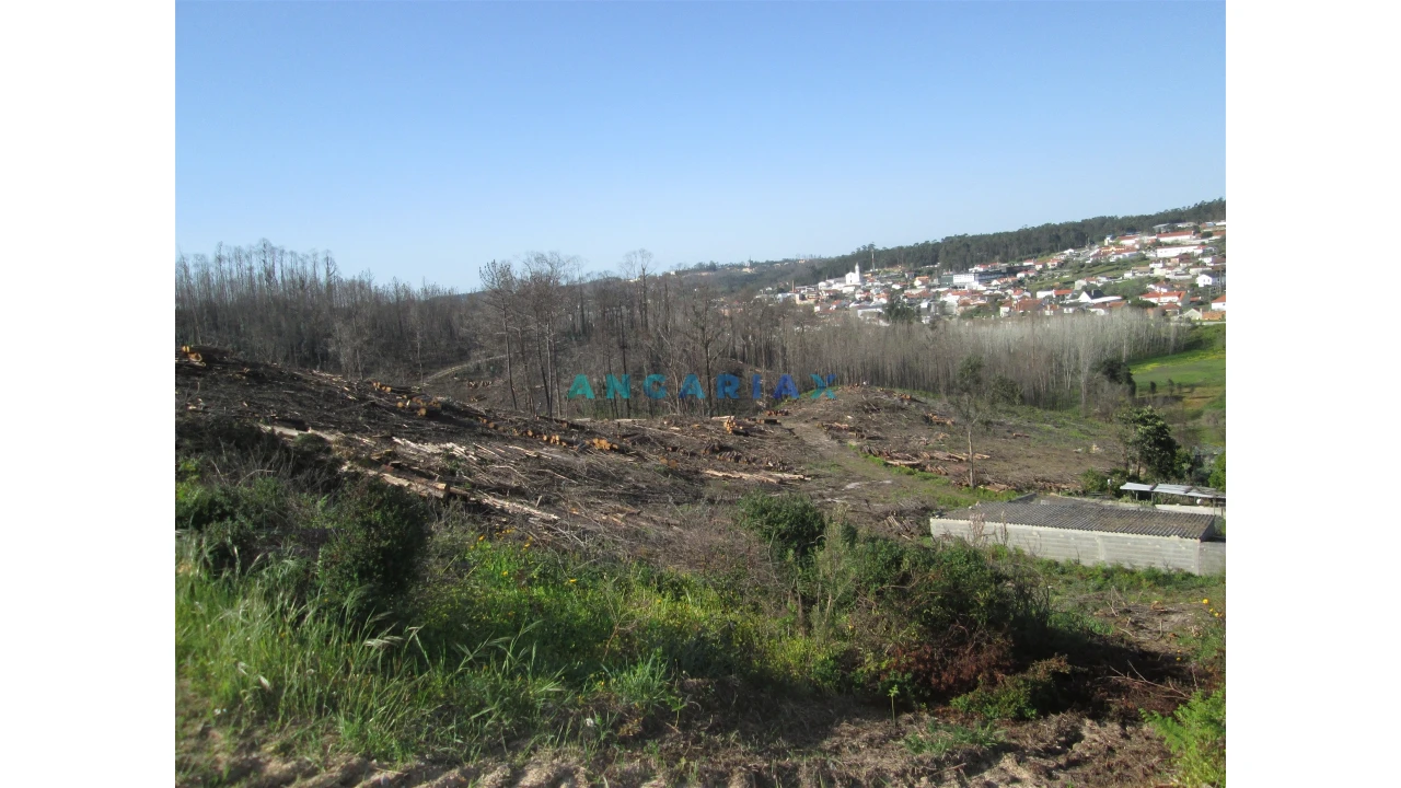 Terreno para Venda em Colmeias e Memória Foto 7