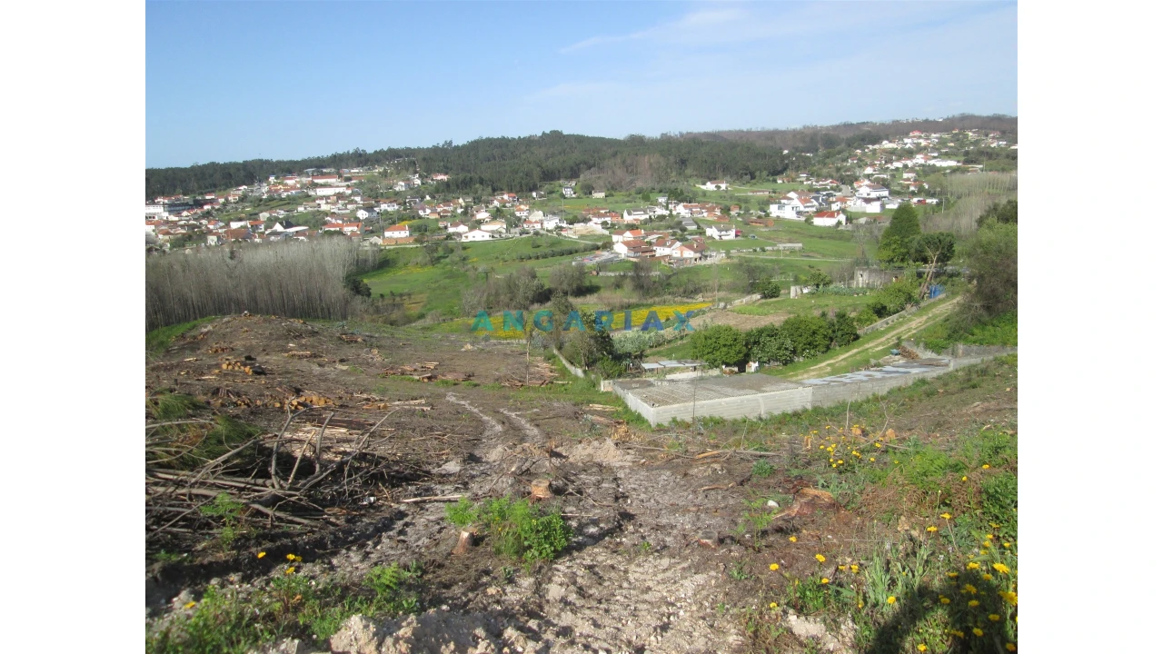 Terreno para Venda em Colmeias e Memória Foto 5