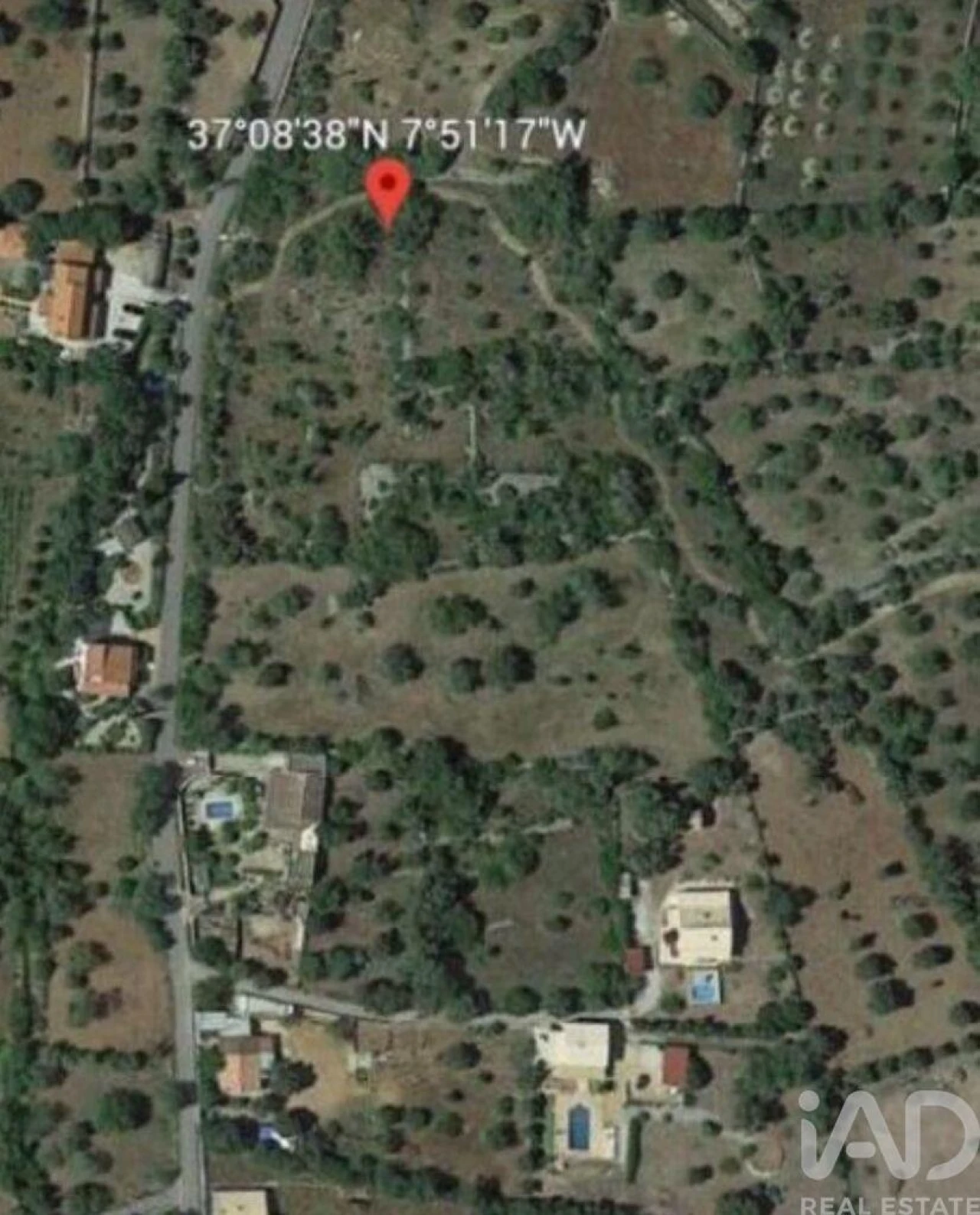 Terreno para Venda em São Brás de Alportel Foto 1