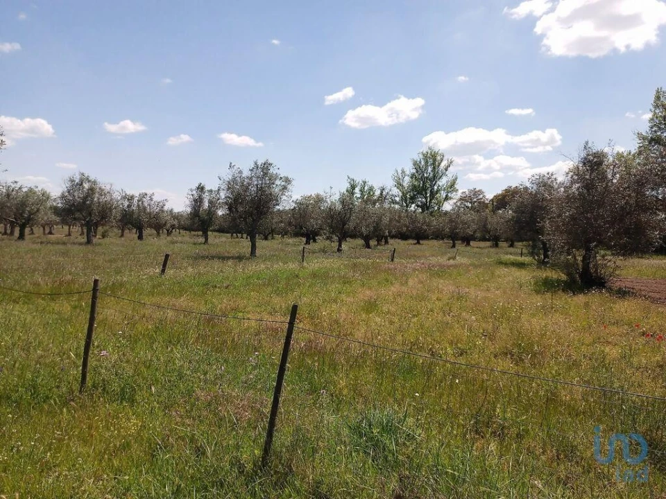 Moradia T1 para Venda em Benavila e Valongo Foto 10