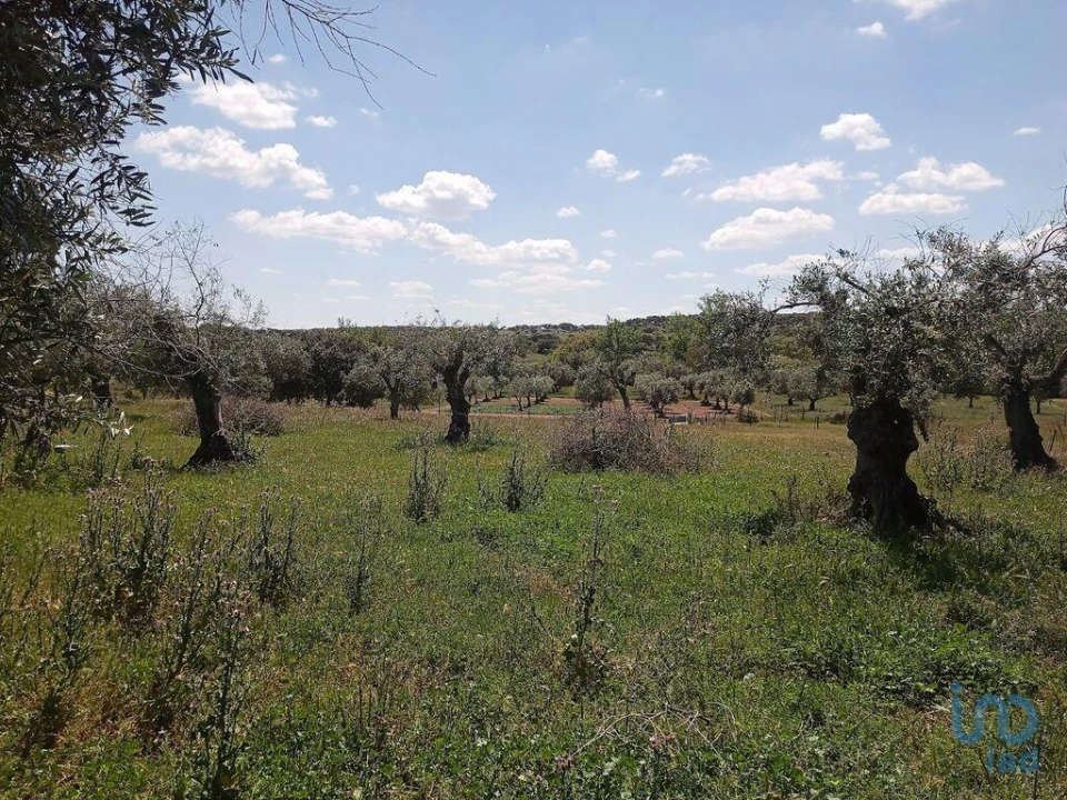 Moradia T1 para Venda em Benavila e Valongo Foto 8