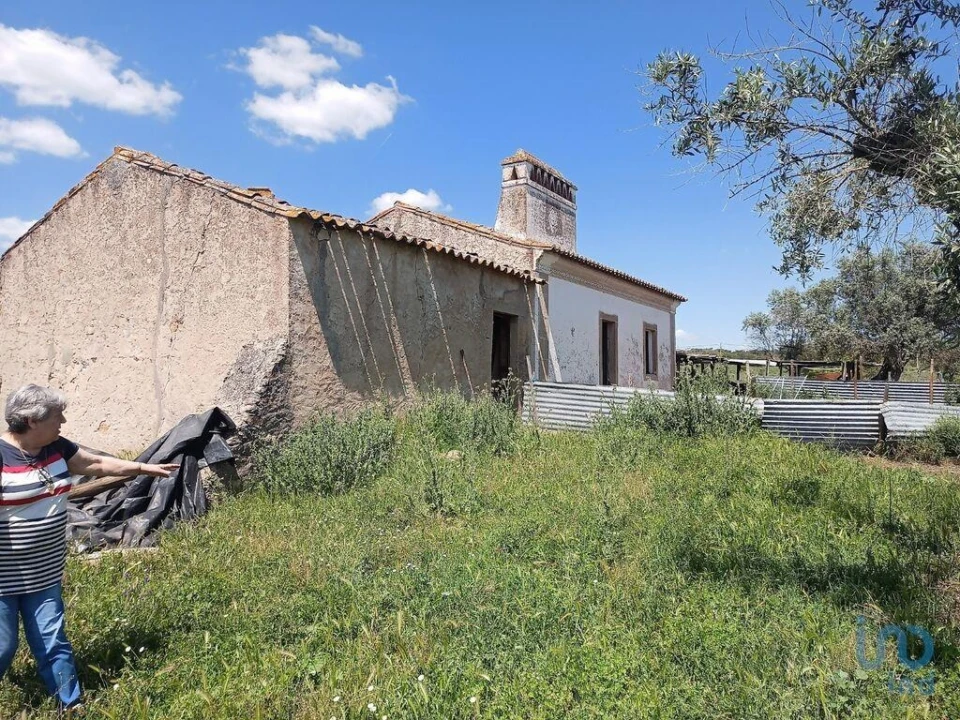 Moradia T1 para Venda em Benavila e Valongo Foto 3