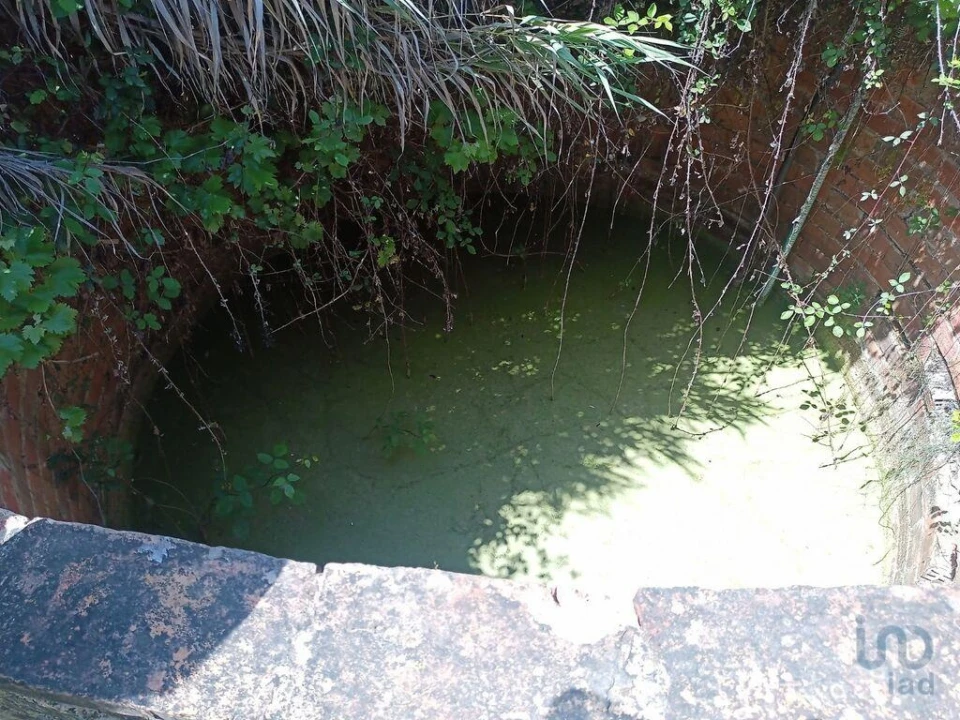 Moradia T1 para Venda em Benavila e Valongo Foto 11