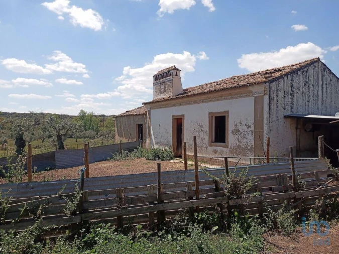 Moradia T1 para Venda em Benavila e Valongo Foto 2