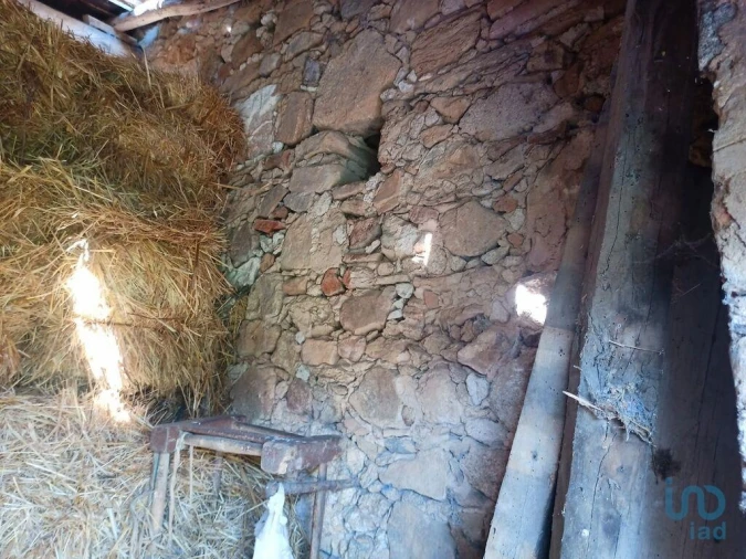 Moradia T1 para Venda em Benavila e Valongo Foto 13