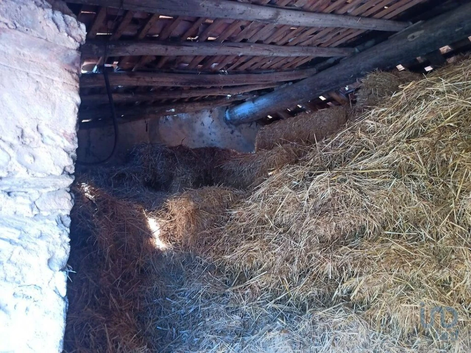 Moradia T1 para Venda em Benavila e Valongo Foto 12