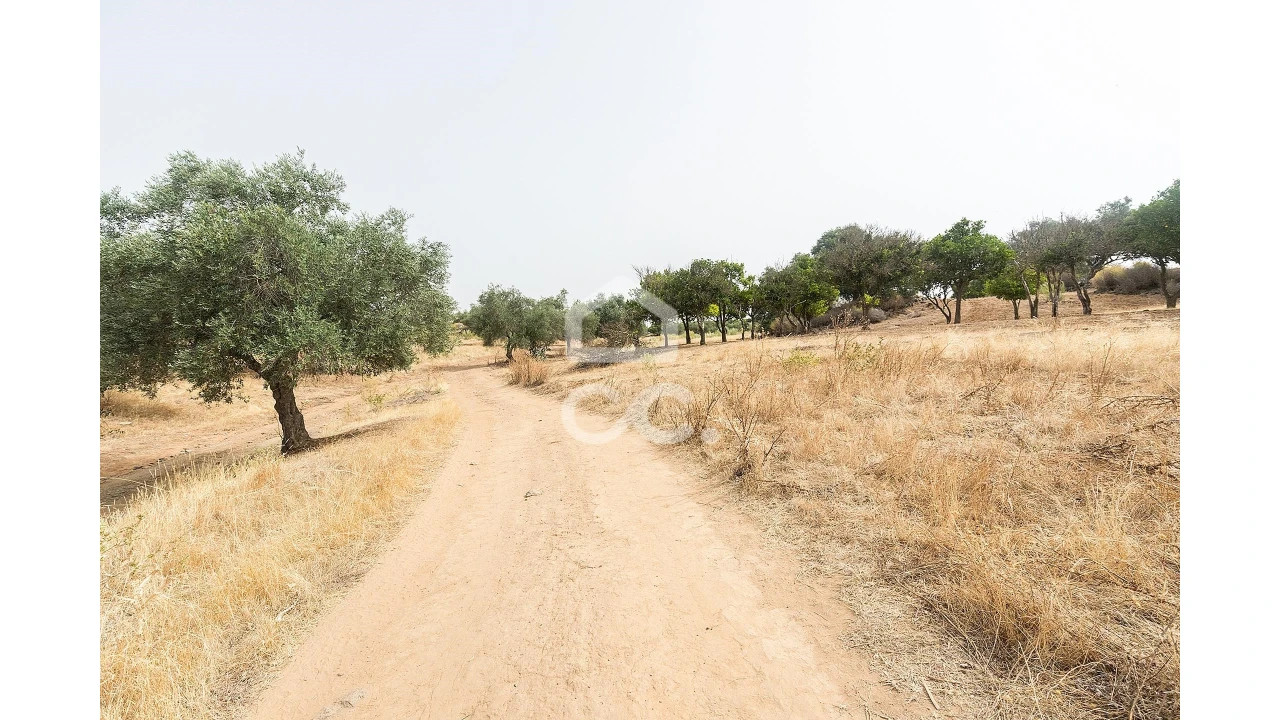 Quinta T4 para Venda em Serpa (Salvador e Santa Maria) Foto 31