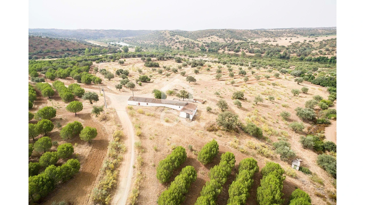 Quinta T4 para Venda em Serpa (Salvador e Santa Maria) Foto 54