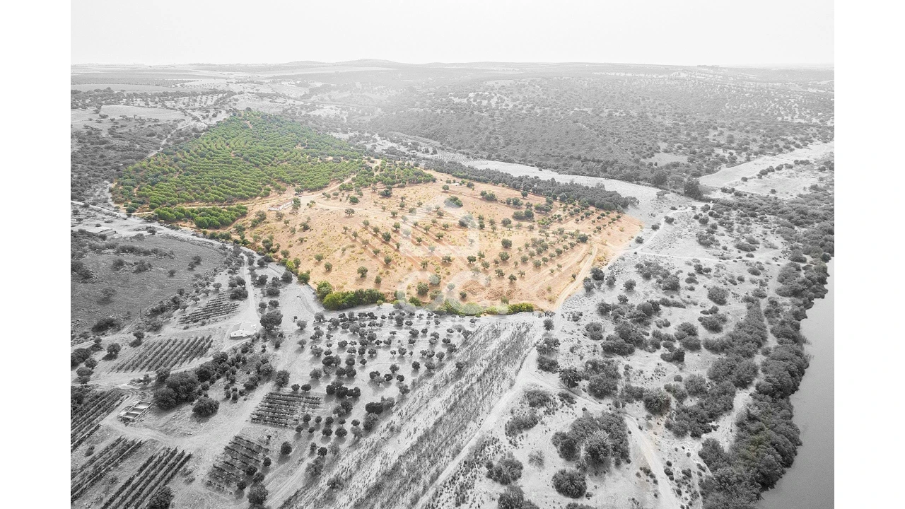 Quinta T4 para Venda em Serpa (Salvador e Santa Maria) Foto 2