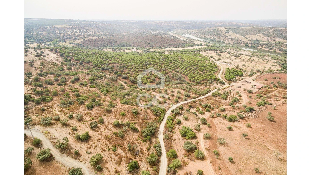 Quinta T4 para Venda em Serpa (Salvador e Santa Maria) Foto 50