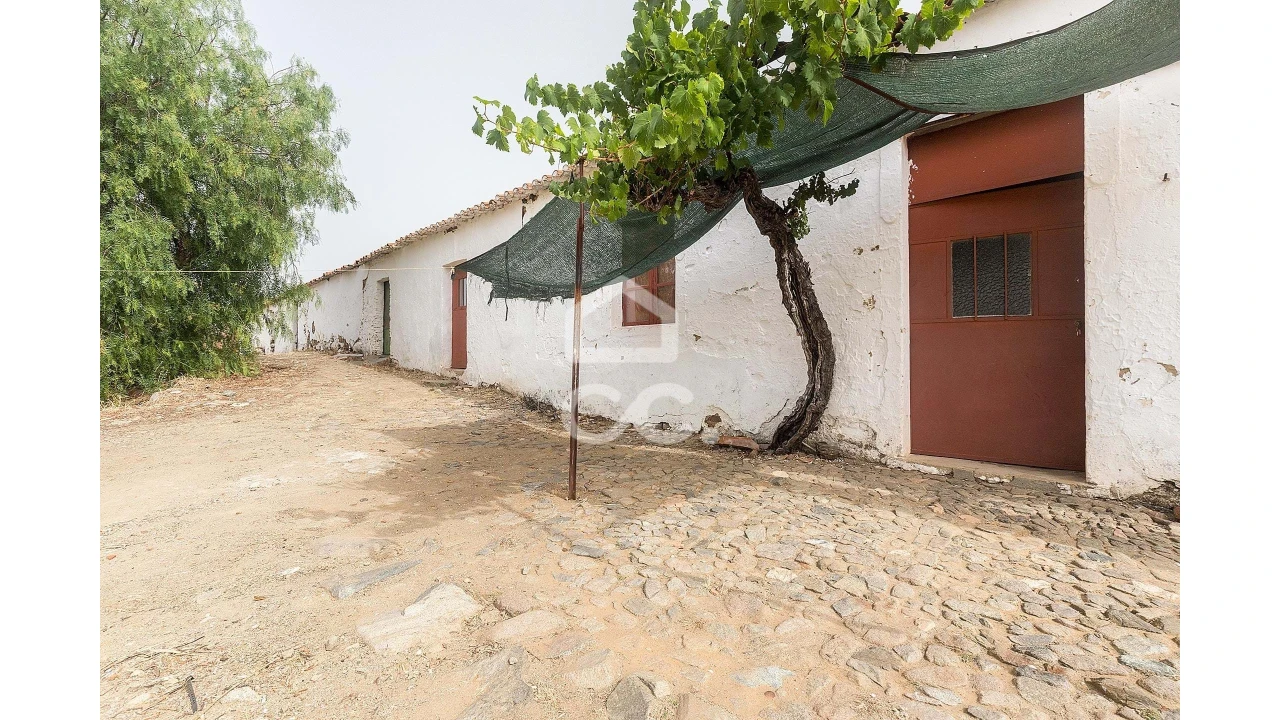 Quinta T4 para Venda em Serpa (Salvador e Santa Maria) Foto 11