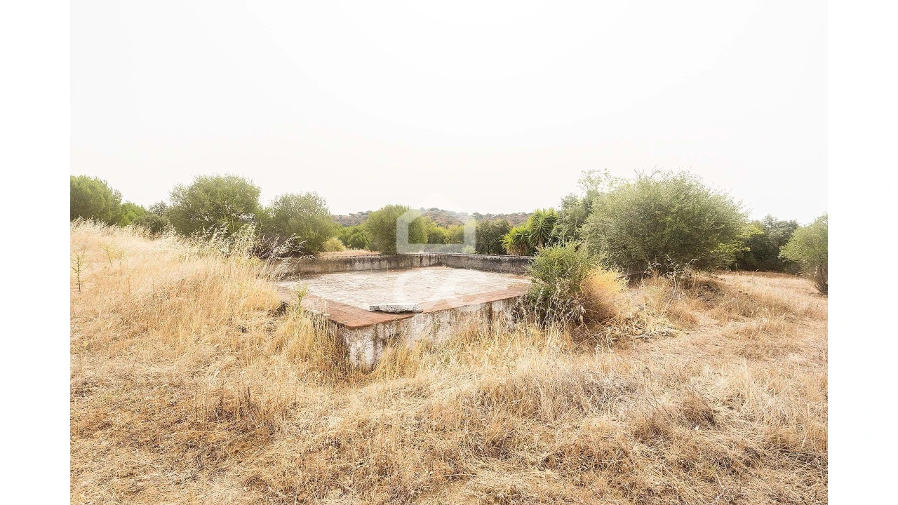 Quinta T4 para Venda em Serpa (Salvador e Santa Maria) Foto 46