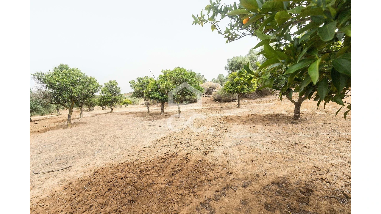 Quinta T4 para Venda em Serpa (Salvador e Santa Maria) Foto 42