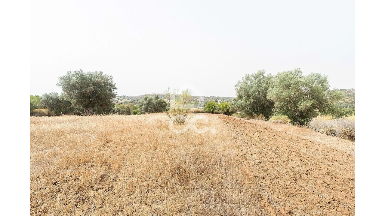 Quinta T4 para Venda em Serpa (Salvador e Santa Maria) Foto 44