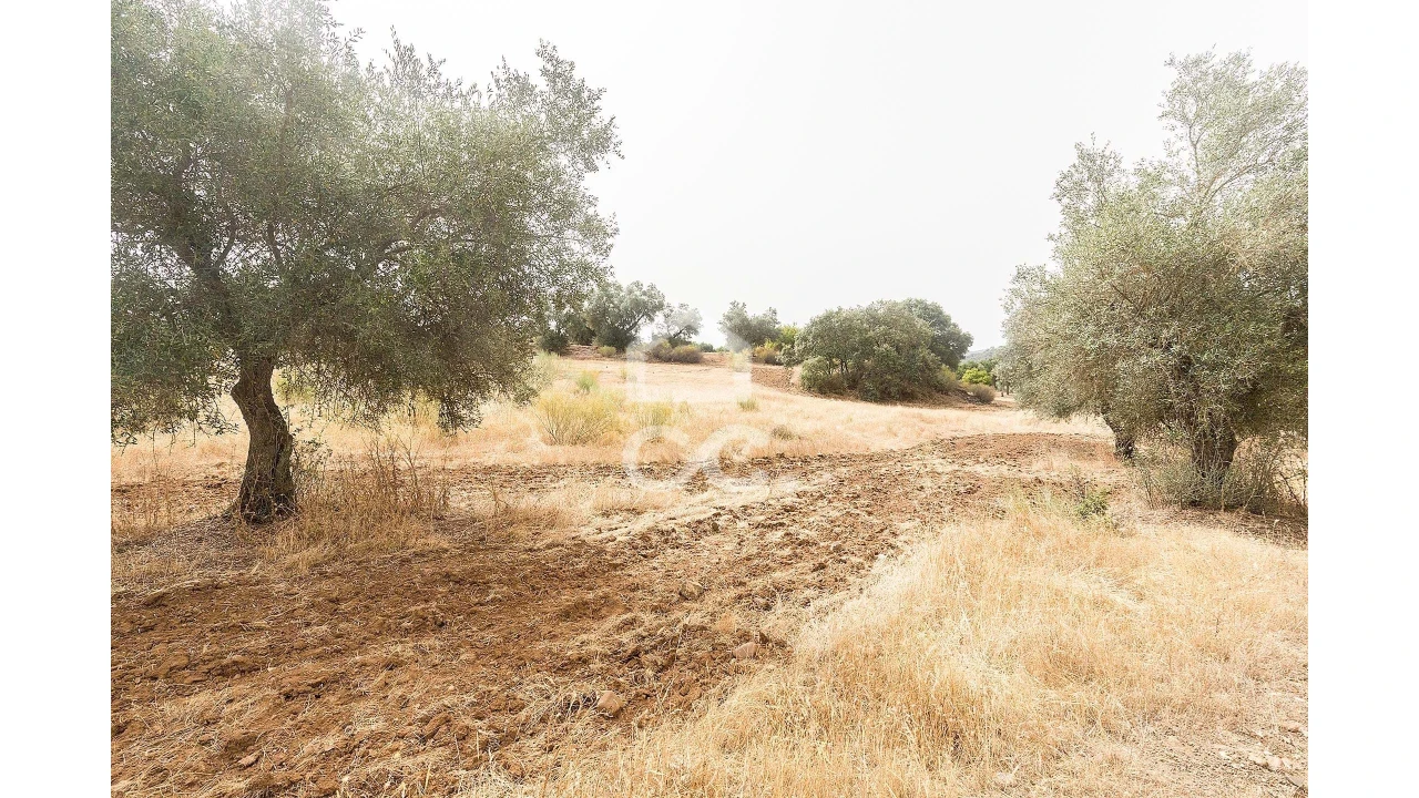 Quinta T4 para Venda em Serpa (Salvador e Santa Maria) Foto 30