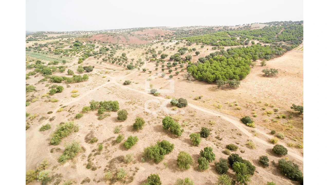 Quinta T4 para Venda em Serpa (Salvador e Santa Maria) Foto 61