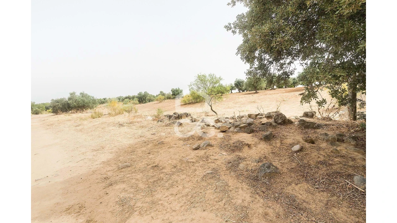 Quinta T4 para Venda em Serpa (Salvador e Santa Maria) Foto 39