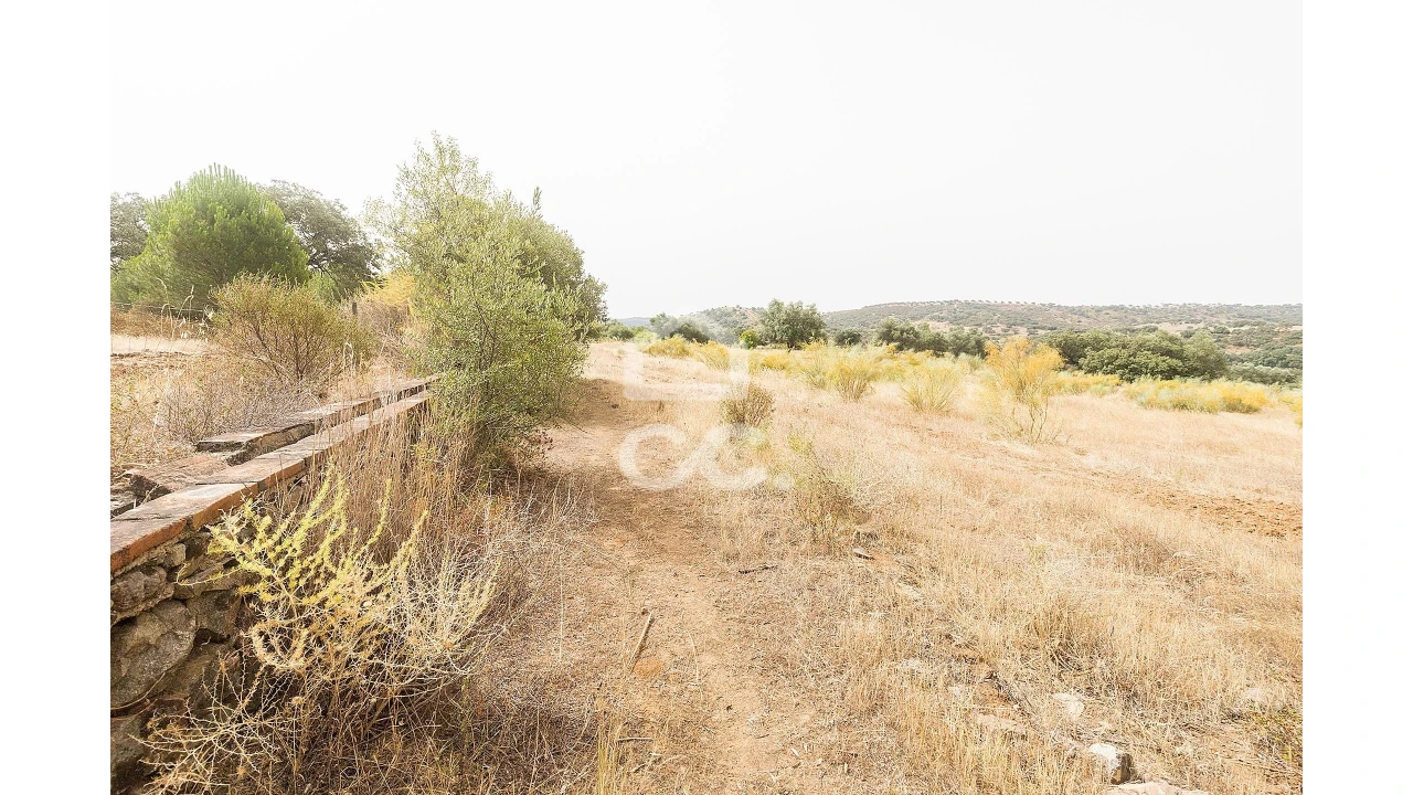 Quinta T4 para Venda em Serpa (Salvador e Santa Maria) Foto 49