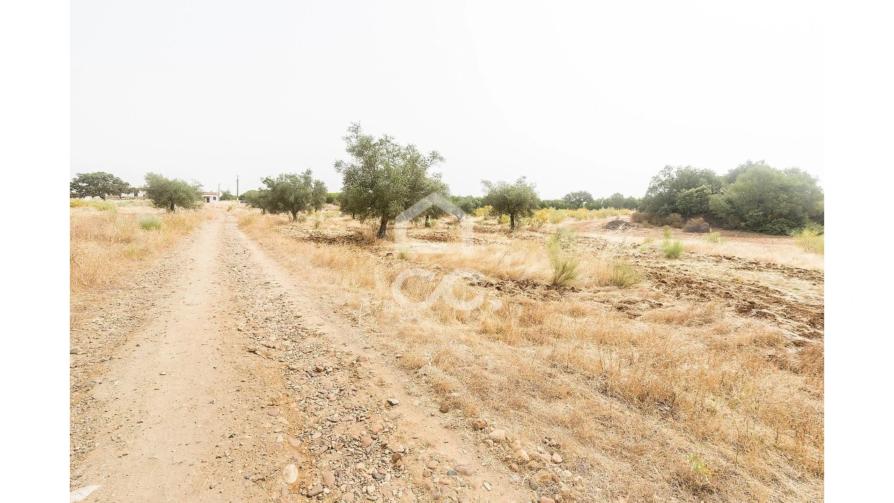 Quinta T4 para Venda em Serpa (Salvador e Santa Maria) Foto 29