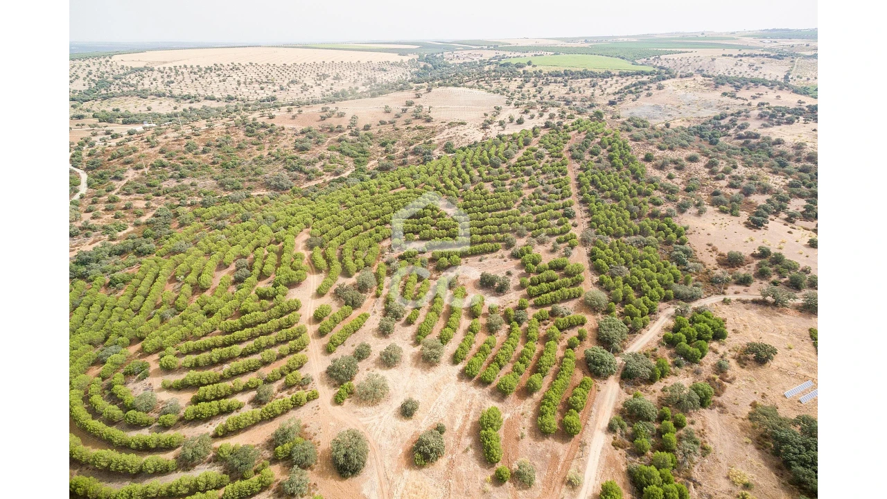 Quinta T4 para Venda em Serpa (Salvador e Santa Maria) Foto 65