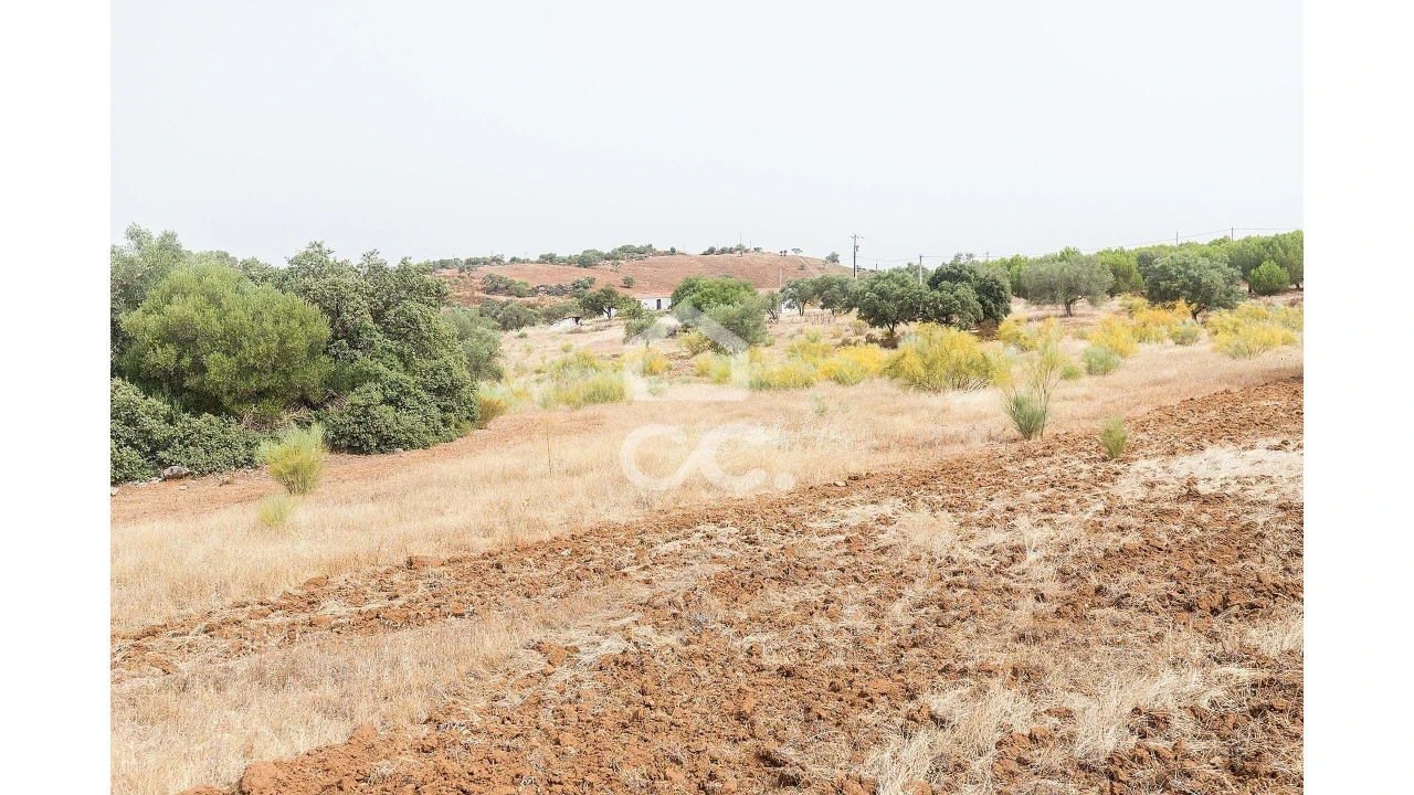 Quinta T4 para Venda em Serpa (Salvador e Santa Maria) Foto 45