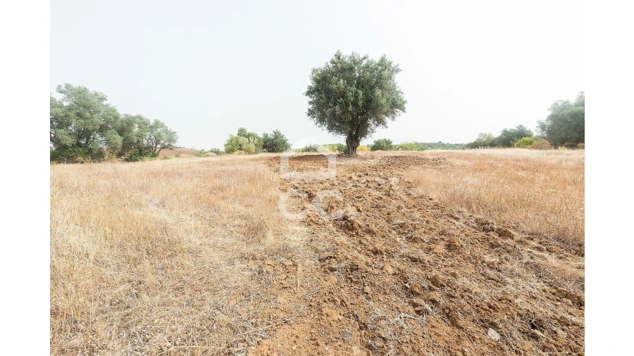Quinta T4 para Venda em Serpa (Salvador e Santa Maria) Foto 43
