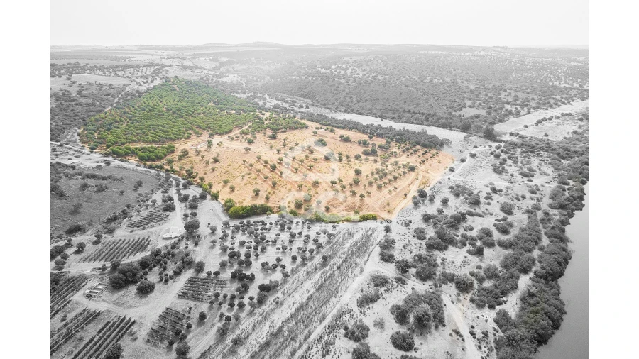 Quinta T4 para Venda em Serpa (Salvador e Santa Maria) Foto 2