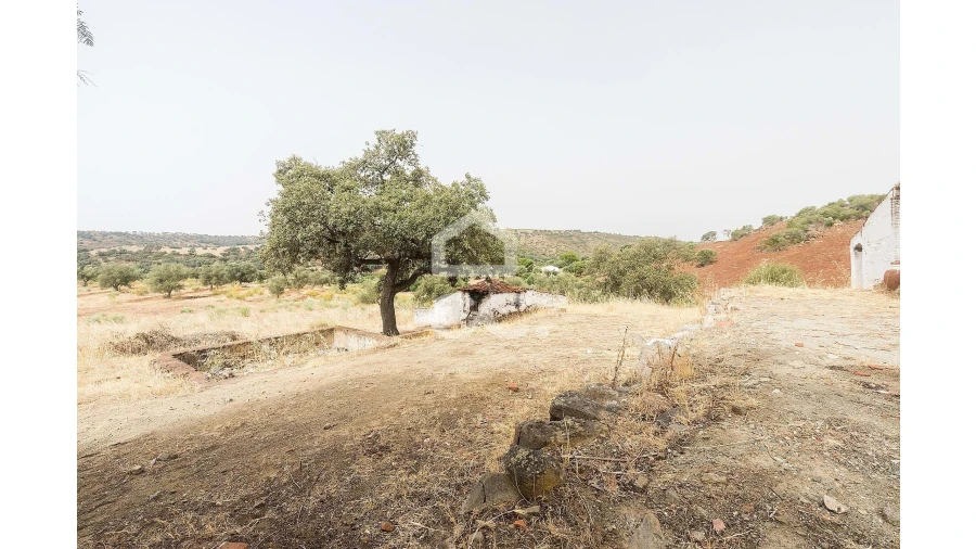 Quinta T4 para Venda em Serpa (Salvador e Santa Maria) Foto 13