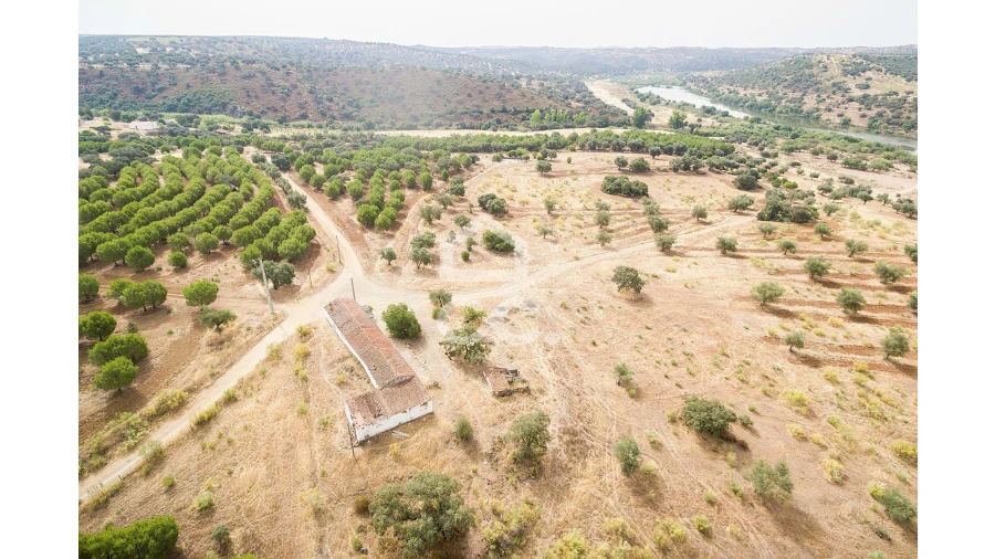 Quinta T4 para Venda em Serpa (Salvador e Santa Maria) Foto 56