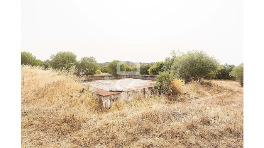 Quinta T4 para Venda em Serpa (Salvador e Santa Maria) Foto 46