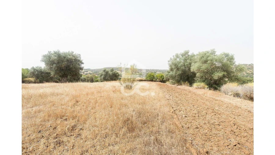 Quinta T4 para Venda em Serpa (Salvador e Santa Maria) Foto 44