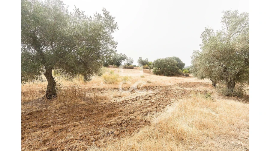 Quinta T4 para Venda em Serpa (Salvador e Santa Maria) Foto 30