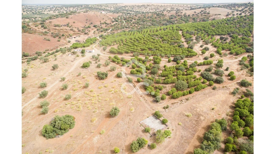 Quinta T4 para Venda em Serpa (Salvador e Santa Maria) Foto 64