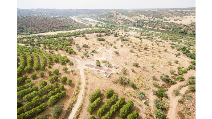 Quinta T4 para Venda em Serpa (Salvador e Santa Maria) Foto 53