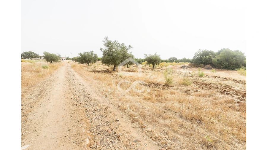 Quinta T4 para Venda em Serpa (Salvador e Santa Maria) Foto 29