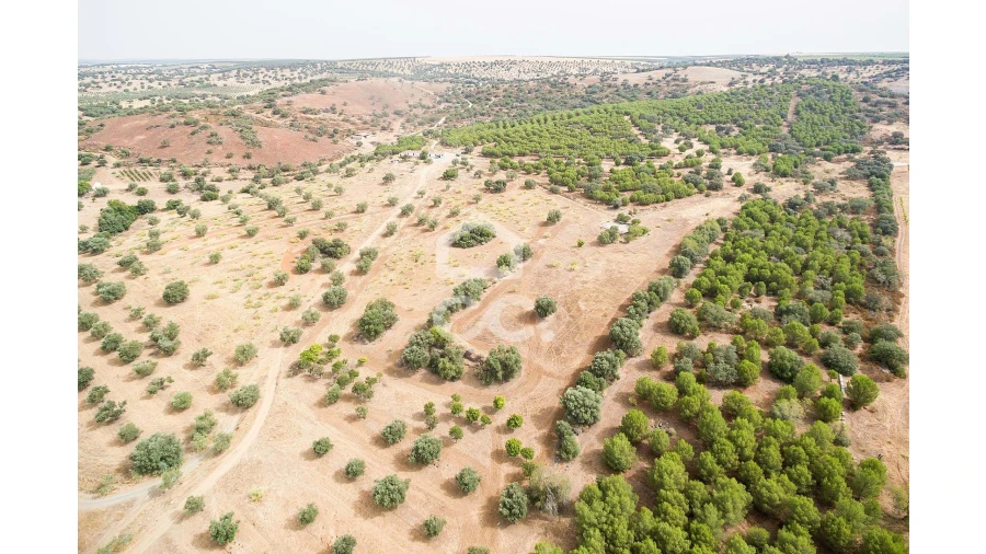 Quinta T4 para Venda em Serpa (Salvador e Santa Maria) Foto 62
