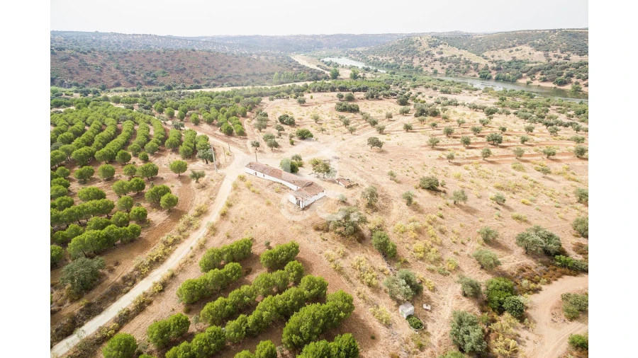 Quinta T4 para Venda em Serpa (Salvador e Santa Maria) Foto 55