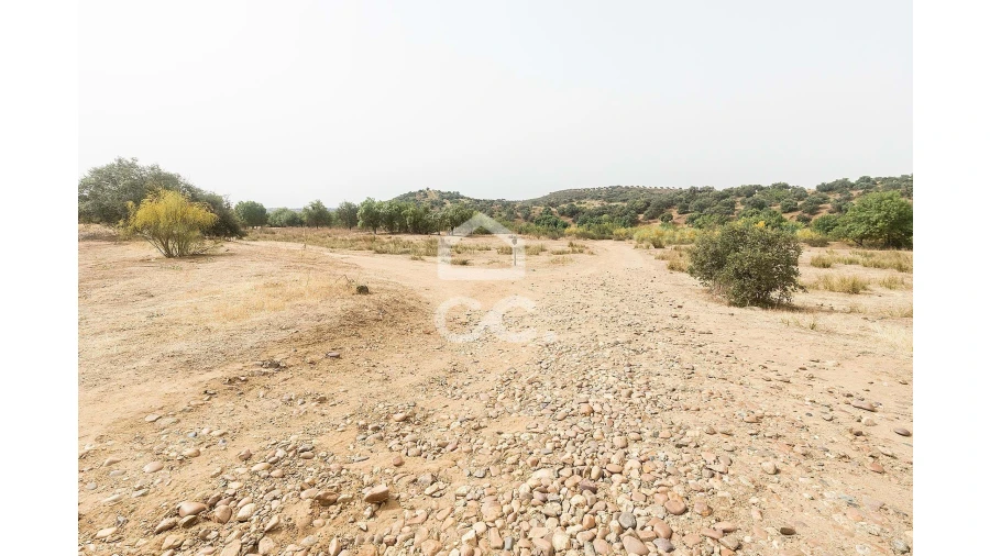 Quinta T4 para Venda em Serpa (Salvador e Santa Maria) Foto 33